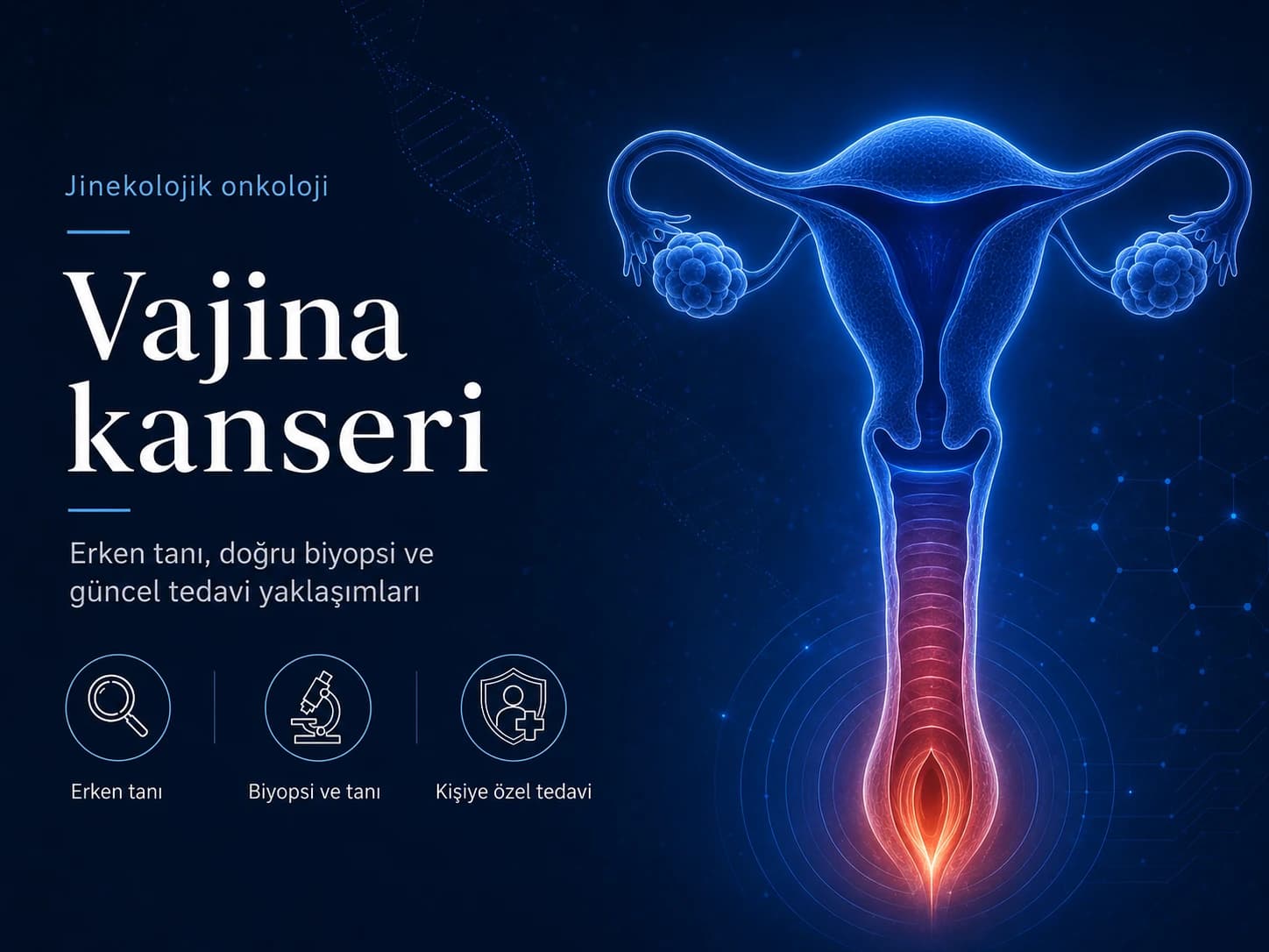 Vajina kanserinde erken tanı, biyopsi ve kişiye özel tedavi yaklaşımını anlatan kadın üreme sistemi illüstrasyonu.