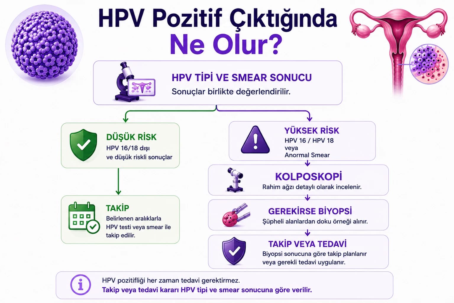 HPV pozitif hastalarda HPV tipi ve smear sonucuna göre takip veya kolposkopi sürecini gösteren karar ağacı.