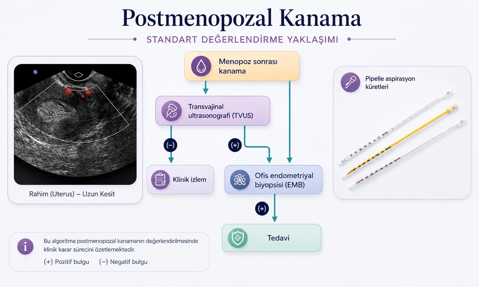 Postmenopozal kanamada transvajinal ultrasonografi, endometrial biyopsi ve klinik değerlendirme sürecini gösteren medikal algoritma görseli
