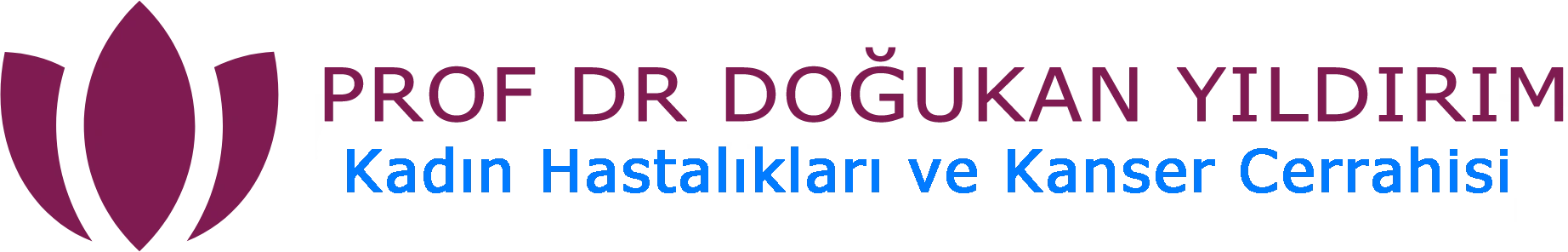 Prof. Dr. Doğukan Yıldırım logosu